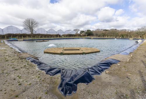 Giant point full of rainwater with a huge plant nursery in the background